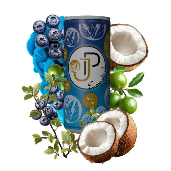 JP - Energy - Blaubeere Kokos - DPG - 250ml - VE = 24 Stk