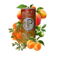 JP - Energy - Mango Marille - DPG - 250ml - VE = 24 Stk