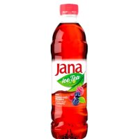 JANA - Eistee - Waldfrucht Preislbeere - 500ml - DPG - VE...